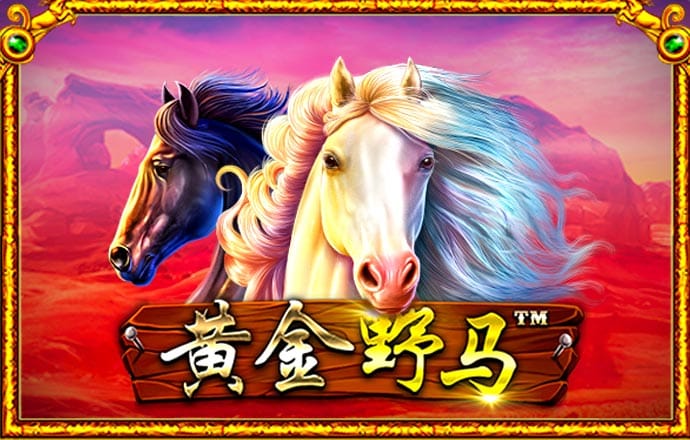 BG体育通用APP